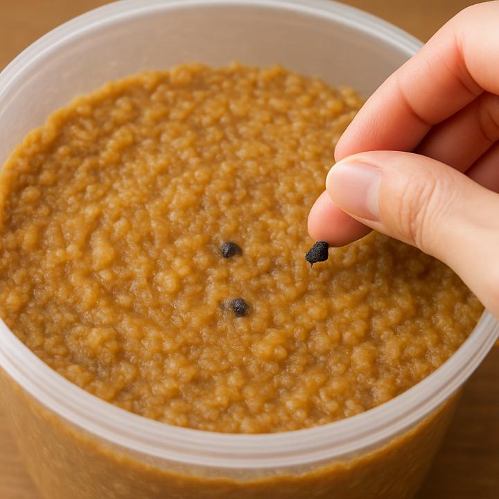 手作り味噌黒い粒は異物?自然な現象との違い