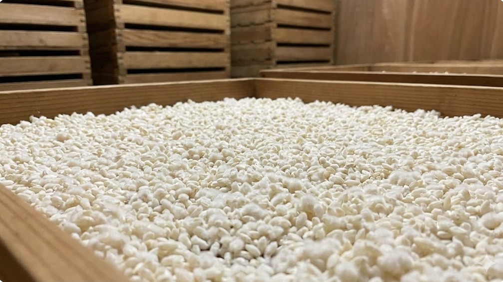 米麹と低塩分が特徴である白味噌の基本製法